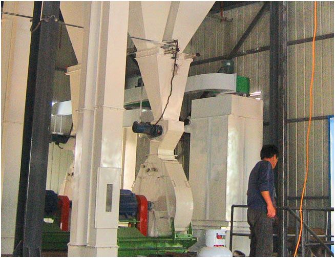poultry feed plant
